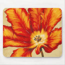 Suche nach papagei mousepads Tropisch