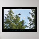 Suche nach seltene vögel poster Tier