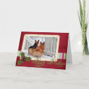 Suche nach zwei hunde karten Schnee