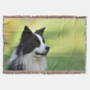Suche nach weiße hunde decken Tier