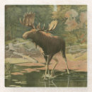 Suche nach wilde tiere untersetzer Jagd