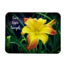 Suche nach orange gelb magnete Blume