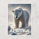 Suche nach polar postkarten Eisbär