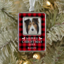 Suche nach roter hund ornamente Foto