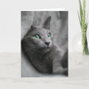 Suche nach russische blaue katze karten Grau