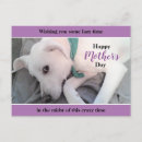 Suche nach lazy postkarten Lustig