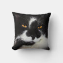 Suche nach gelbe katzen kissen Kitty