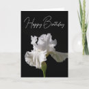 Suche nach blumengeburtstagskarten Weiße blume
