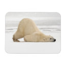 Suche nach tundra karten Kanada