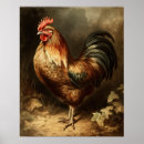Suche nach rooster poster Hähnchen