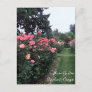 Suche nach rose postkarten Liebe