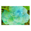 Suche nach gemalte blumen poster Pflanze
