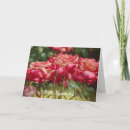 Suche nach garten rosen karten Rot