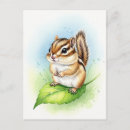 Suche nach der chipmunk postkarten Wild