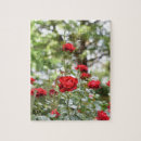 Suche nach rote rosen puzzle Blumenreich