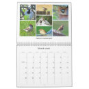 Suche nach rotkehlchen kalender Vögel
