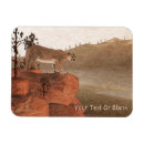 Suche nach cougar magnete Berglöwe