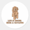 Suche nach cavapoo aufkleber Wolf