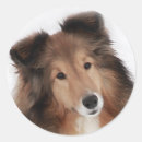 Suche nach schaffung aufkleber Tiere
