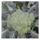 Suche nach gesund fliesen Veggies