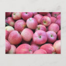 Suche nach obstgarten postkarten Apfel
