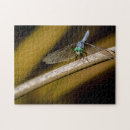 Suche nach libellen puzzle Blau