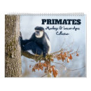 Suche nach affen kalender Baby