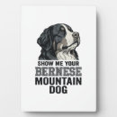 Suche nach bern fotoplatten Hund