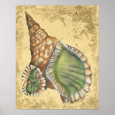 Suche nach sand und muscheln poster Natur