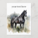 Suche nach pferdeschlitten postkarten Hengst