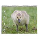 Suche nach gänse kalender Gans