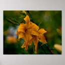 Suche nach gartenbau poster Lila