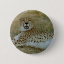 Suche nach geparden buttons Wild