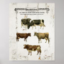 Suche nach milchkuh poster Vintag