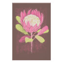 Suche nach protea poster Exotisch