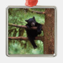 Suche nach fauna ornamente Baum