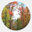 Suche nach herbstbaum aufkleber Natur