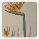 Suche nach regina aufkleber Blume