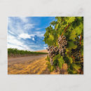 Suche nach merlot poster Traube