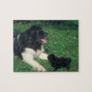 Suche nach über neufundland puzzle Hund