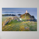 Suche nach insel poster Nautisch