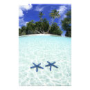 Suche nach palau poster Tropisch