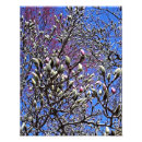 Suche nach knospen poster Schön