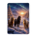 Suche nach isländisch magnete Winter
