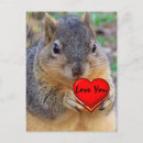 Suche nach das nagetier poster Liebe