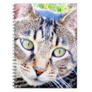 Suche nach katzenartig kleine notizbücher Tiere
