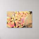 Suche nach cholesterin poster Mikroskop