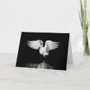 Suche nach weißer reiher karten Vogel