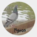 Suche nach coole vögel aufkleber Tiere