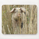 Suche nach niedliches schwein mousepads Rosa